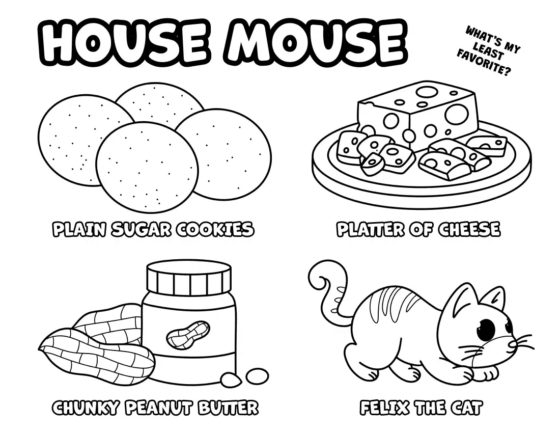 house mouse activity book sample