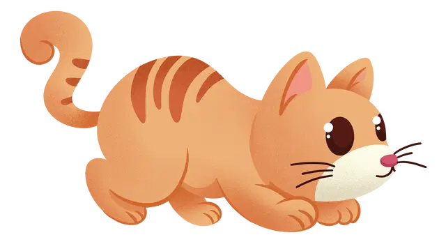 felix the cat, a striped orange tabby, getting ready to pounce